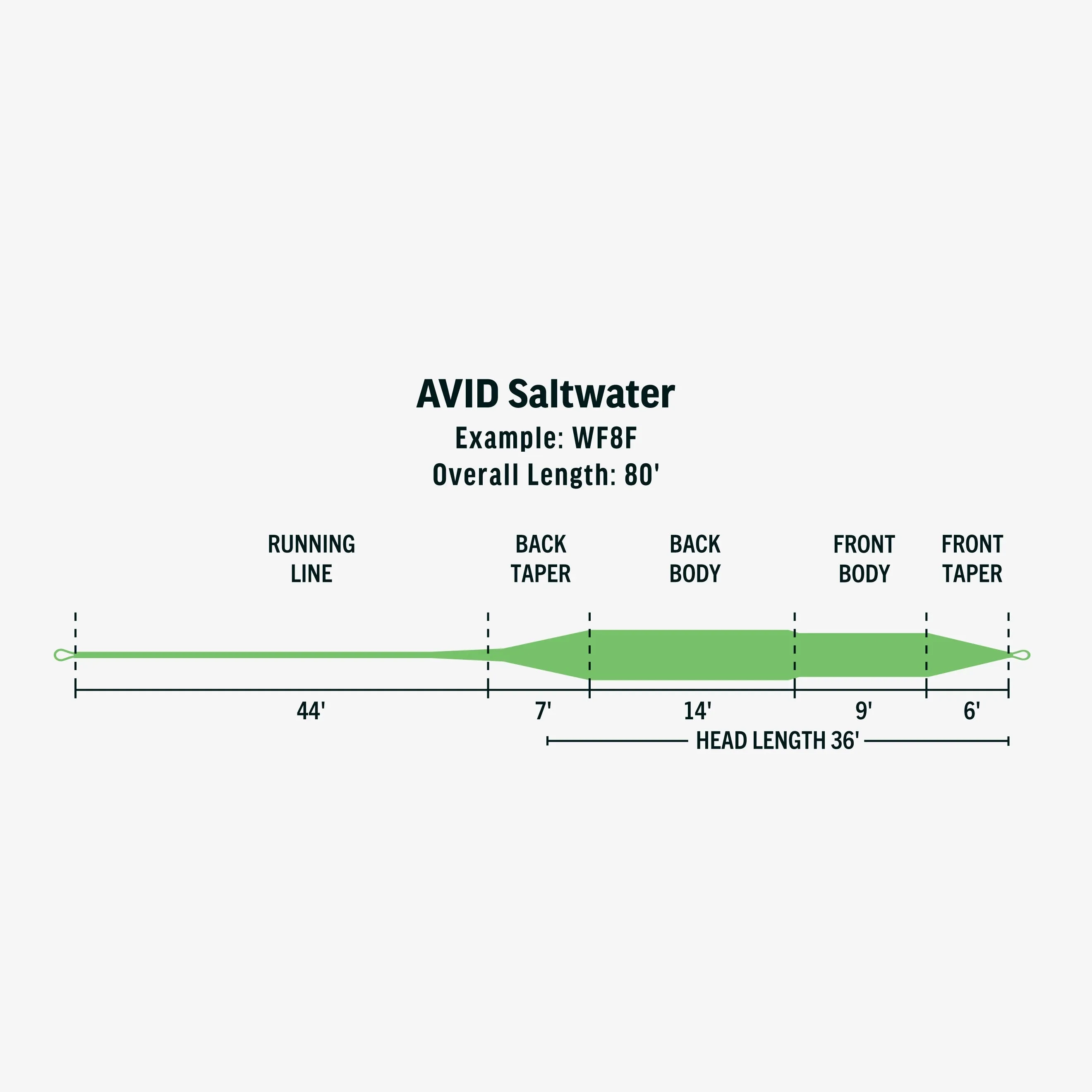 Avid Saltwater