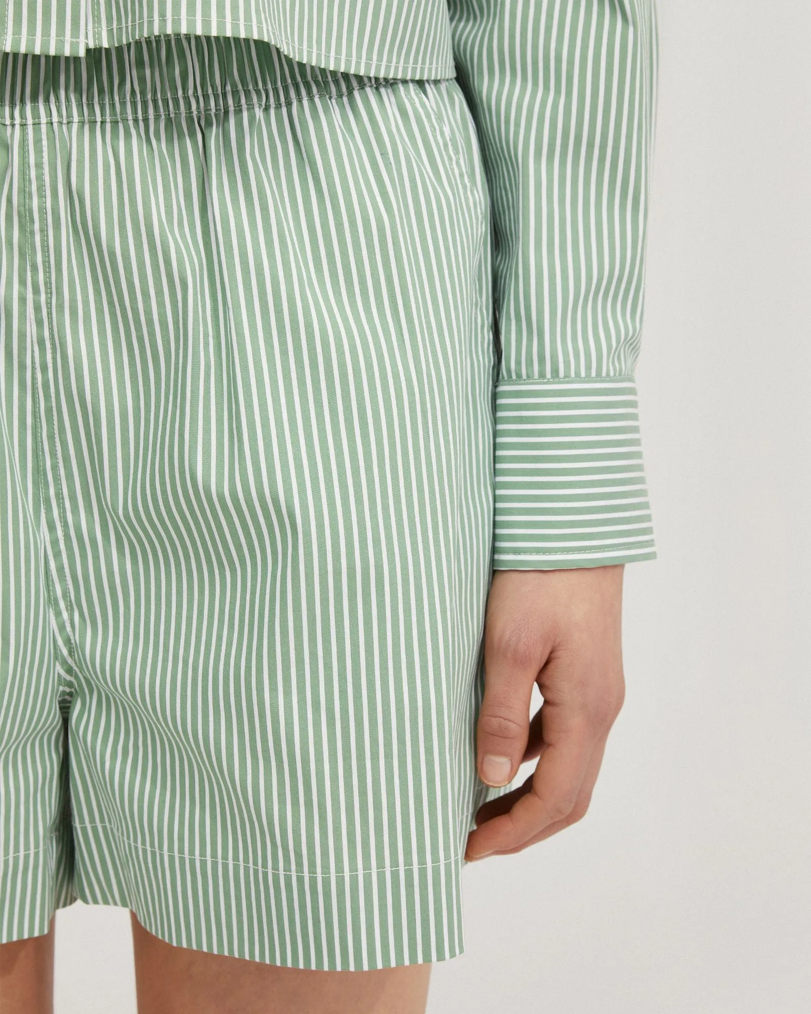 Courtney Striped Shorts