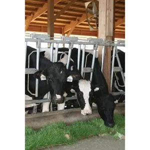 FarmTek FodderPro 2.0 Indoor Feed Module System | Compact, Efficient Fodder Production