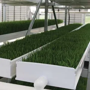 FarmTek FodderPro 2.0 Indoor Feed Module System | Compact, Efficient Fodder Production