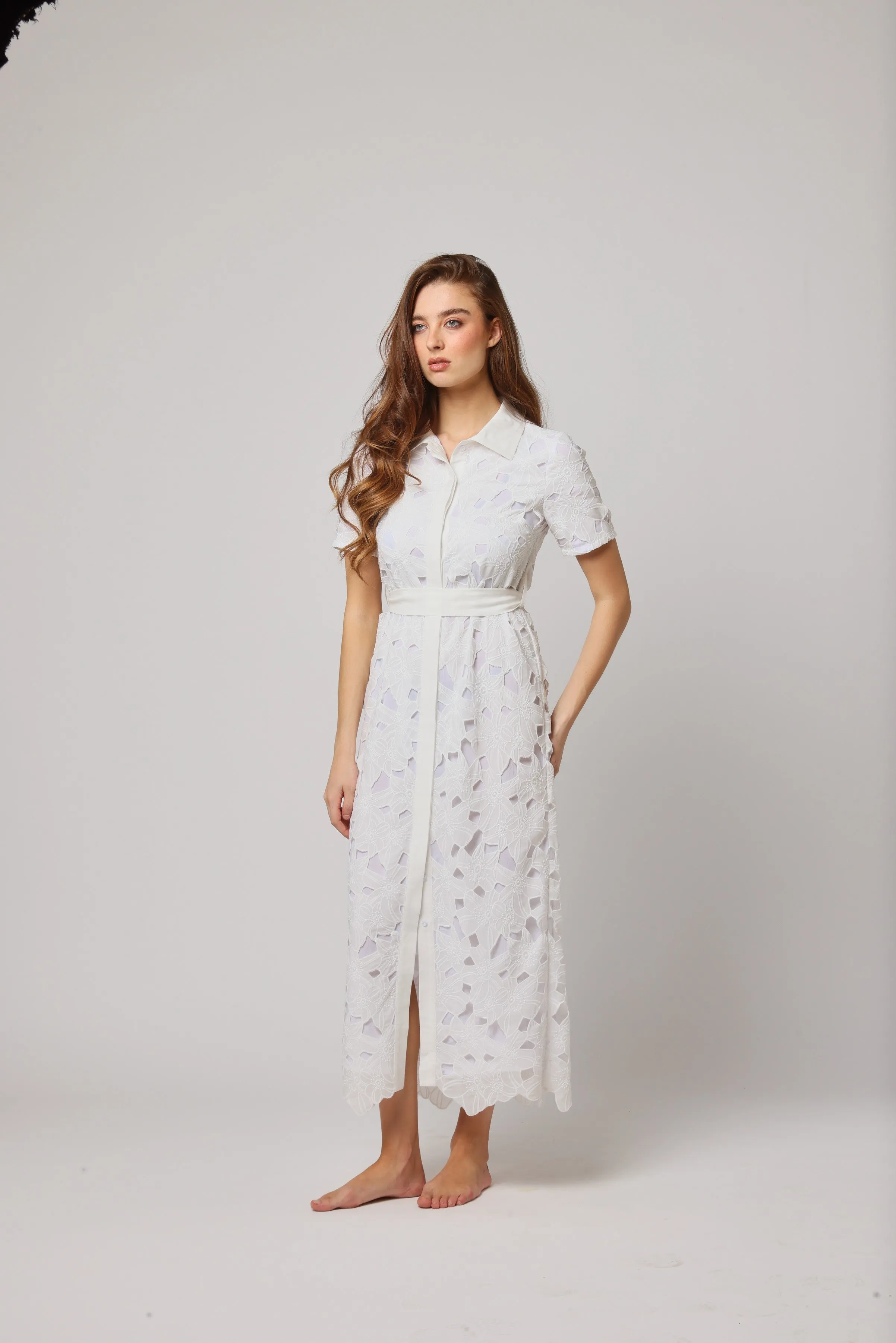 Gul  A Bloom of Timeless Elegance