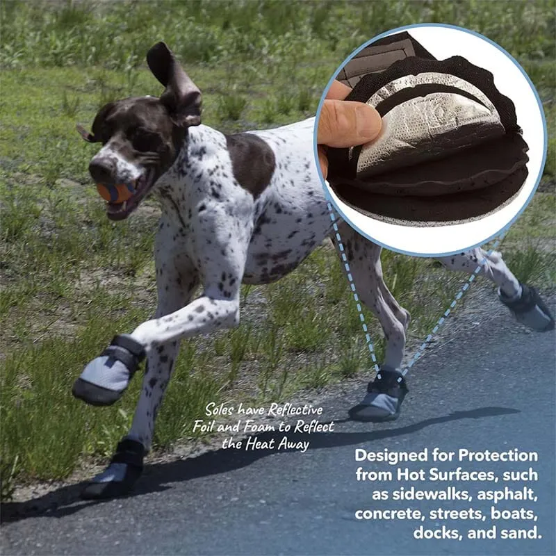 Silver Cool Dog Shoes