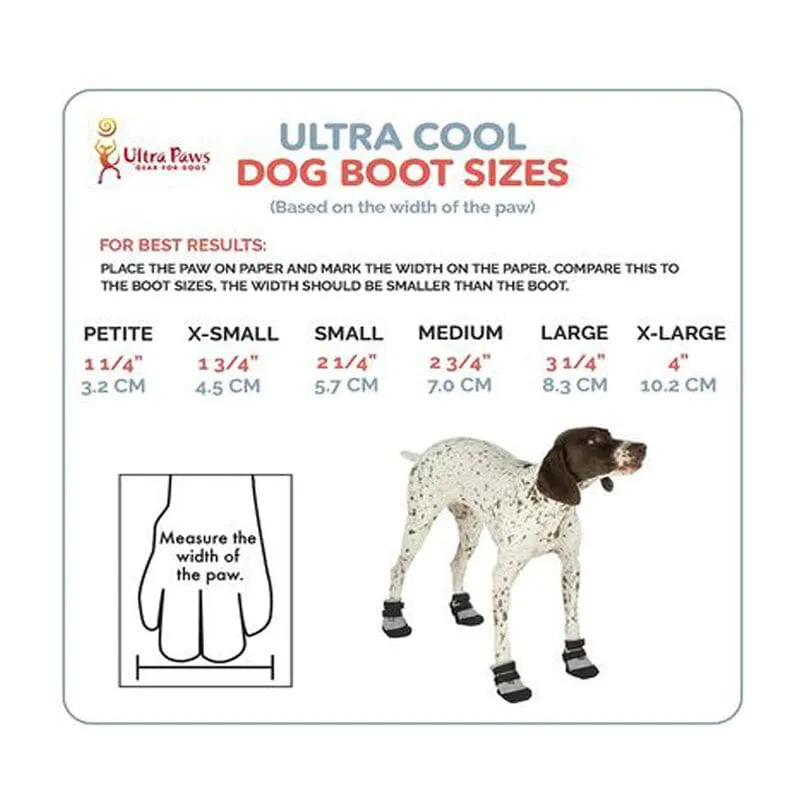 Silver Cool Dog Shoes
