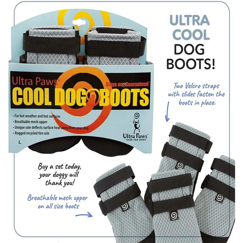 Silver Cool Dog Shoes