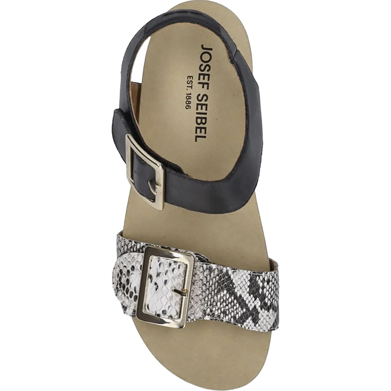 Women's Josef Seibel Quinn 02 Black Snake